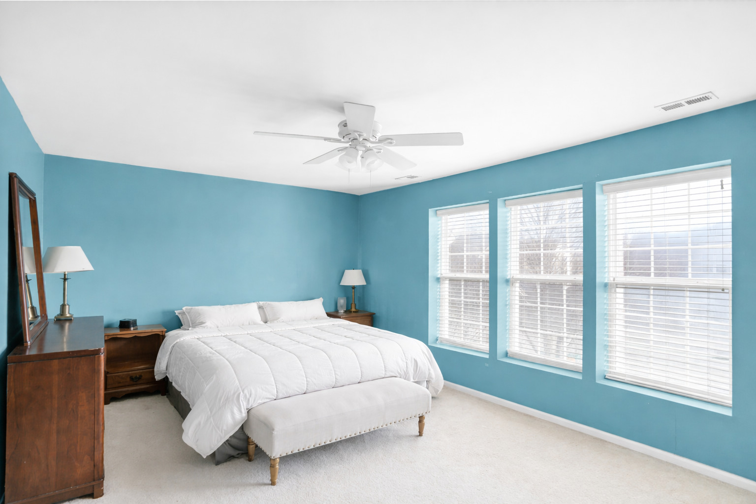 24924 Franklin Lane, Plainfield, IL 60585