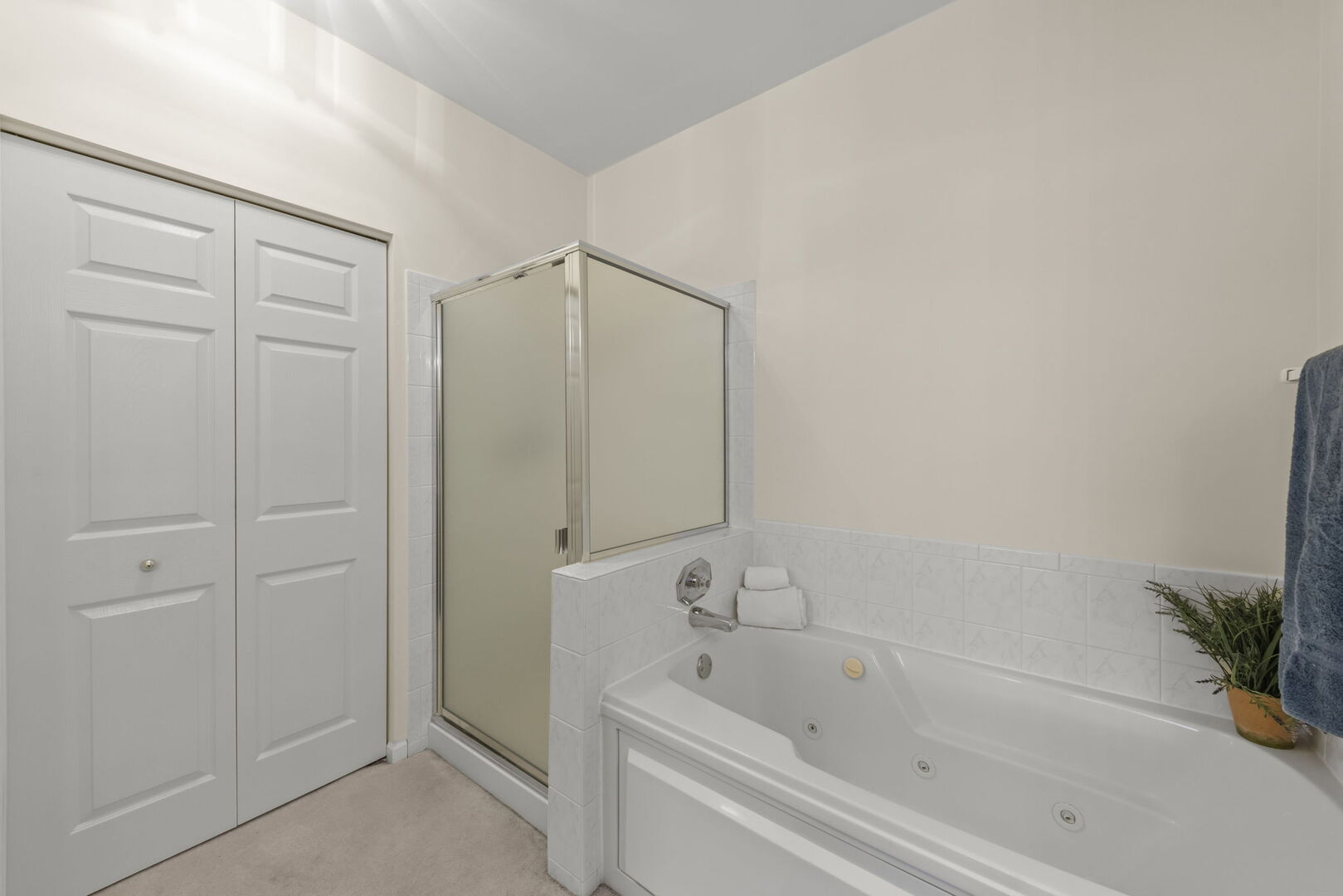 31301 Kline Circle, Warrenville, IL 60555