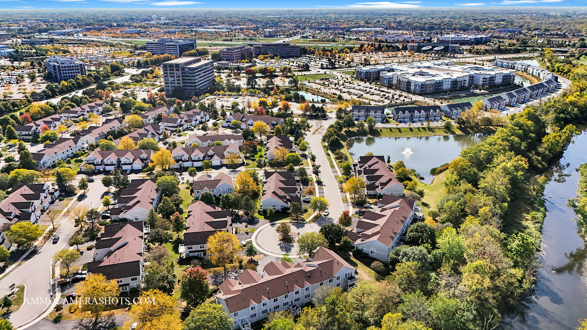 31301 Kline Circle, Warrenville, IL 60555