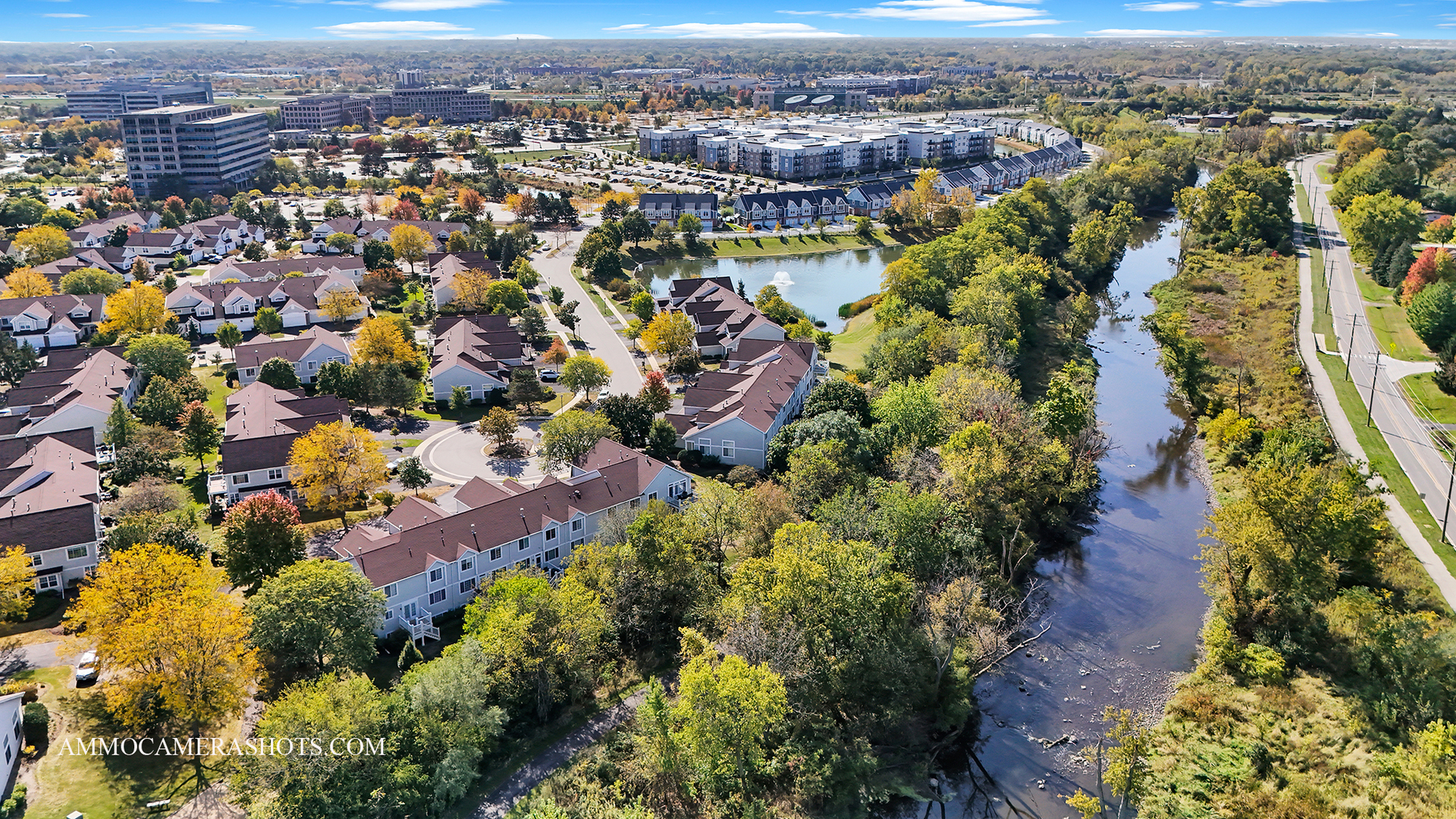 31301 Kline Circle, Warrenville, IL 60555