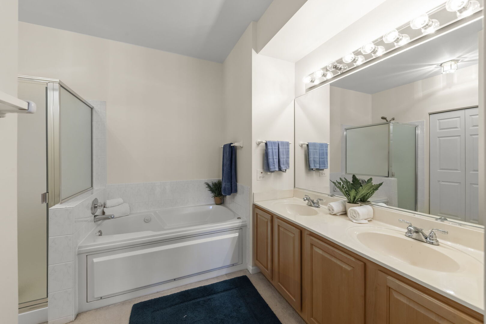 31301 Kline Circle, Warrenville, IL 60555