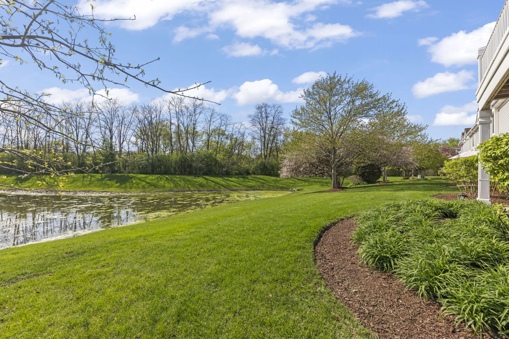 31301 Kline Circle, Warrenville, IL 60555