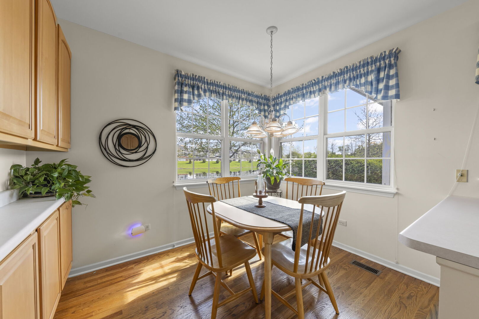 31301 Kline Circle, Warrenville, IL 60555