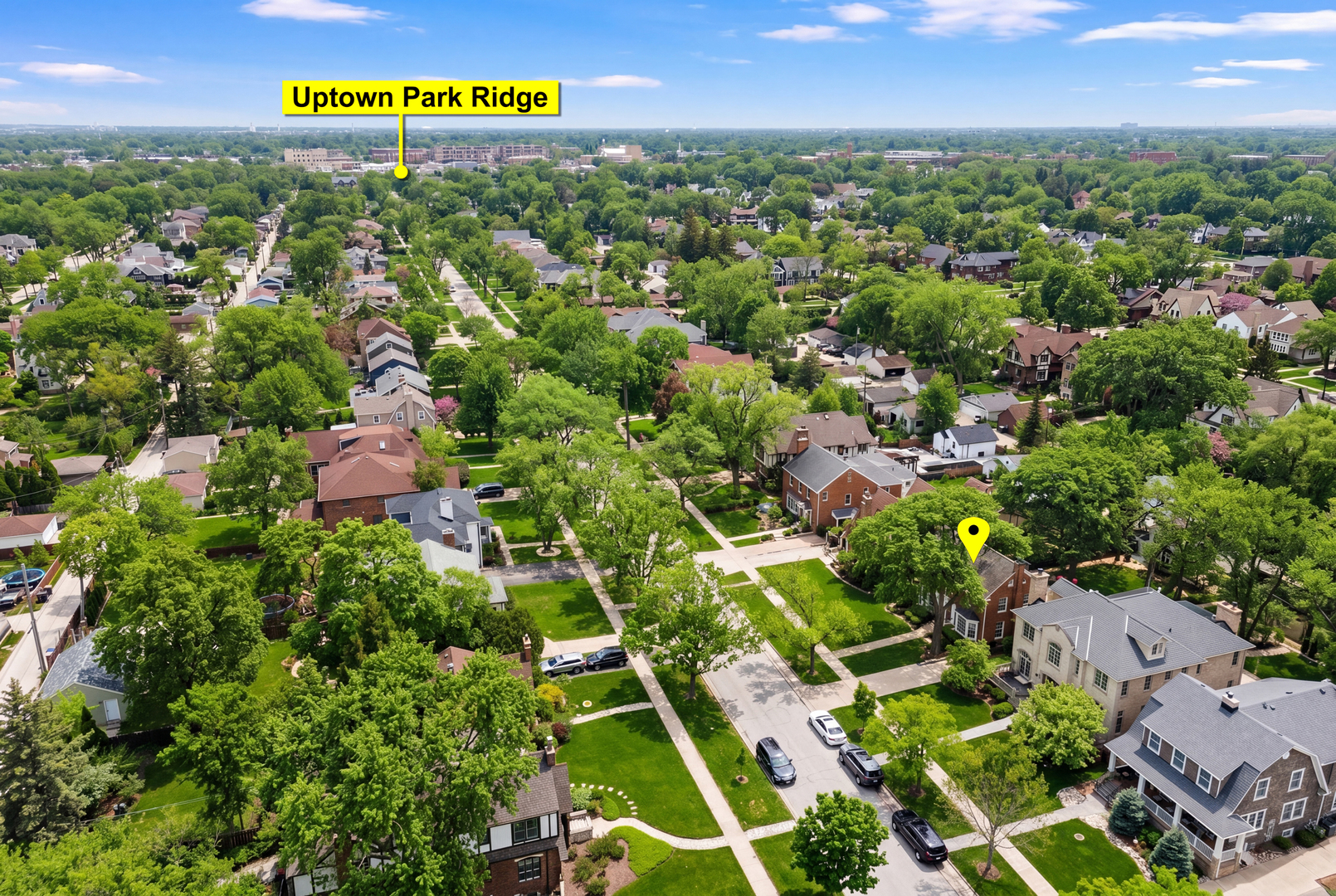 831 S Prospect Avenue, Park Ridge, IL 60068