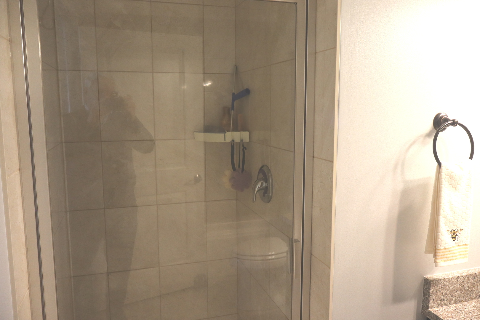 14160 SHEFFIELD Drive #404, Homer Glen, IL 60491