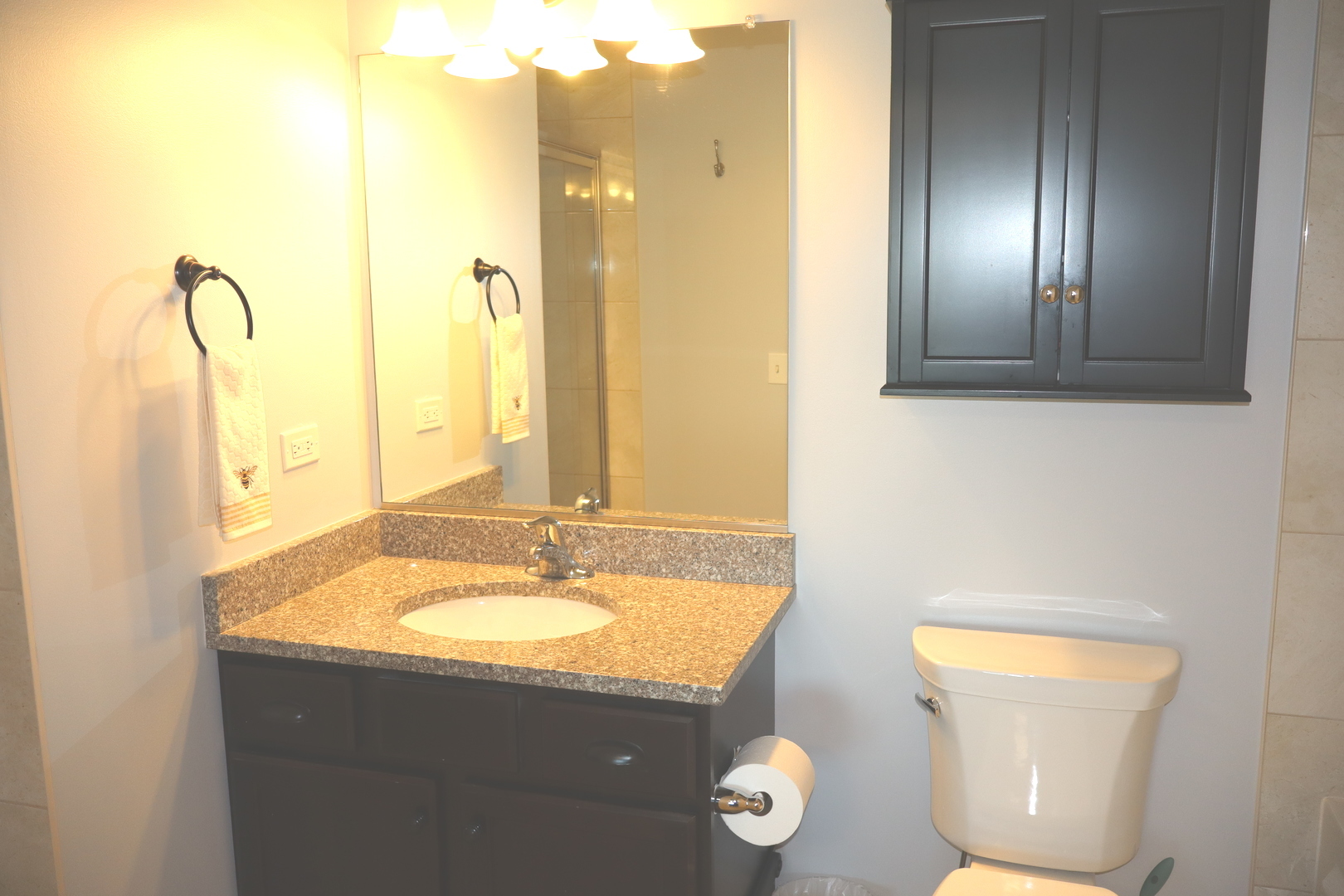 14160 SHEFFIELD Drive #404, Homer Glen, IL 60491