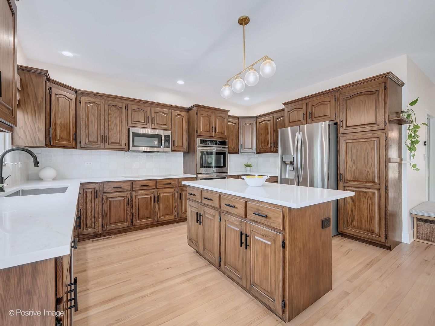 6437 Davane Court, Downers Grove, IL 60516