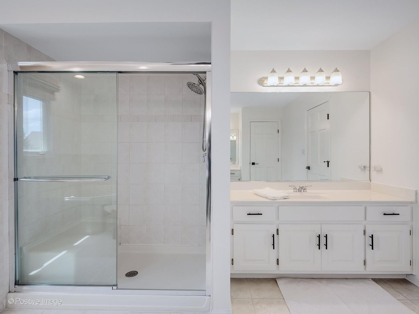 6437 Davane Court, Downers Grove, IL 60516