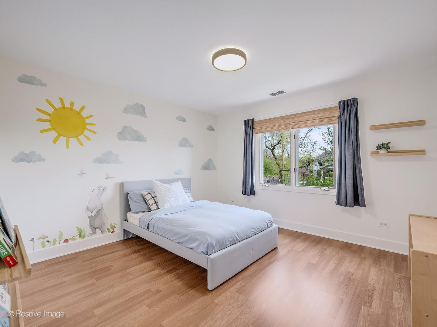 6437 Davane Court, Downers Grove, IL 60516