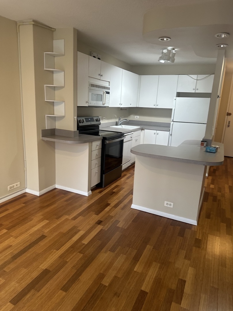 405 N Wabash Avenue #308, Chicago, IL 60611