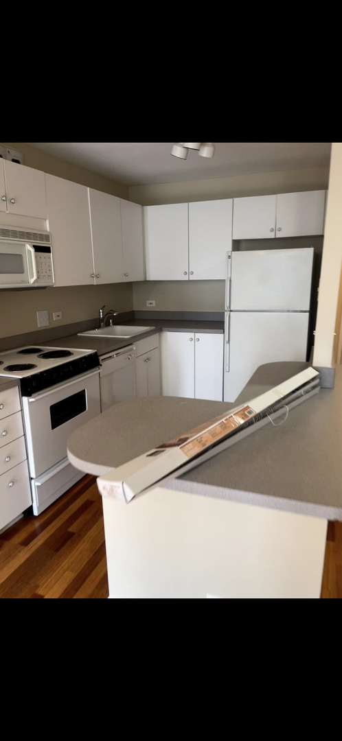 405 N Wabash Avenue #308, Chicago, IL 60611