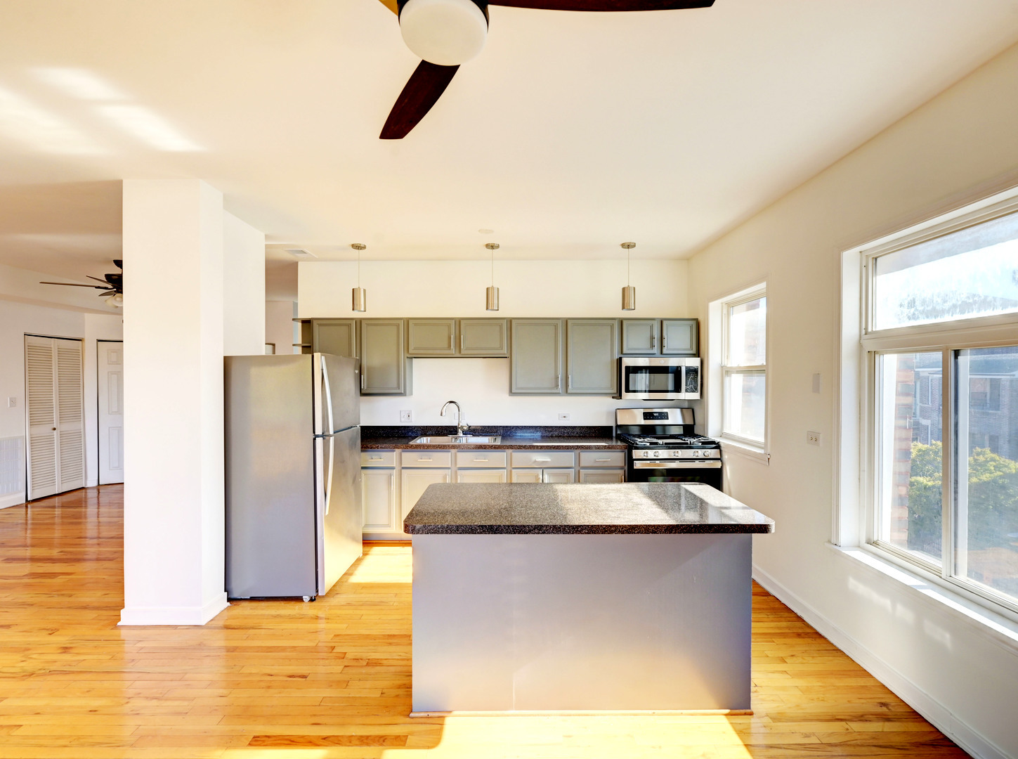 757 S Independence Boulevard #3S, Chicago, IL 60624