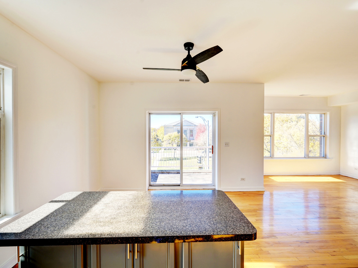 757 S Independence Boulevard #3S, Chicago, IL 60624