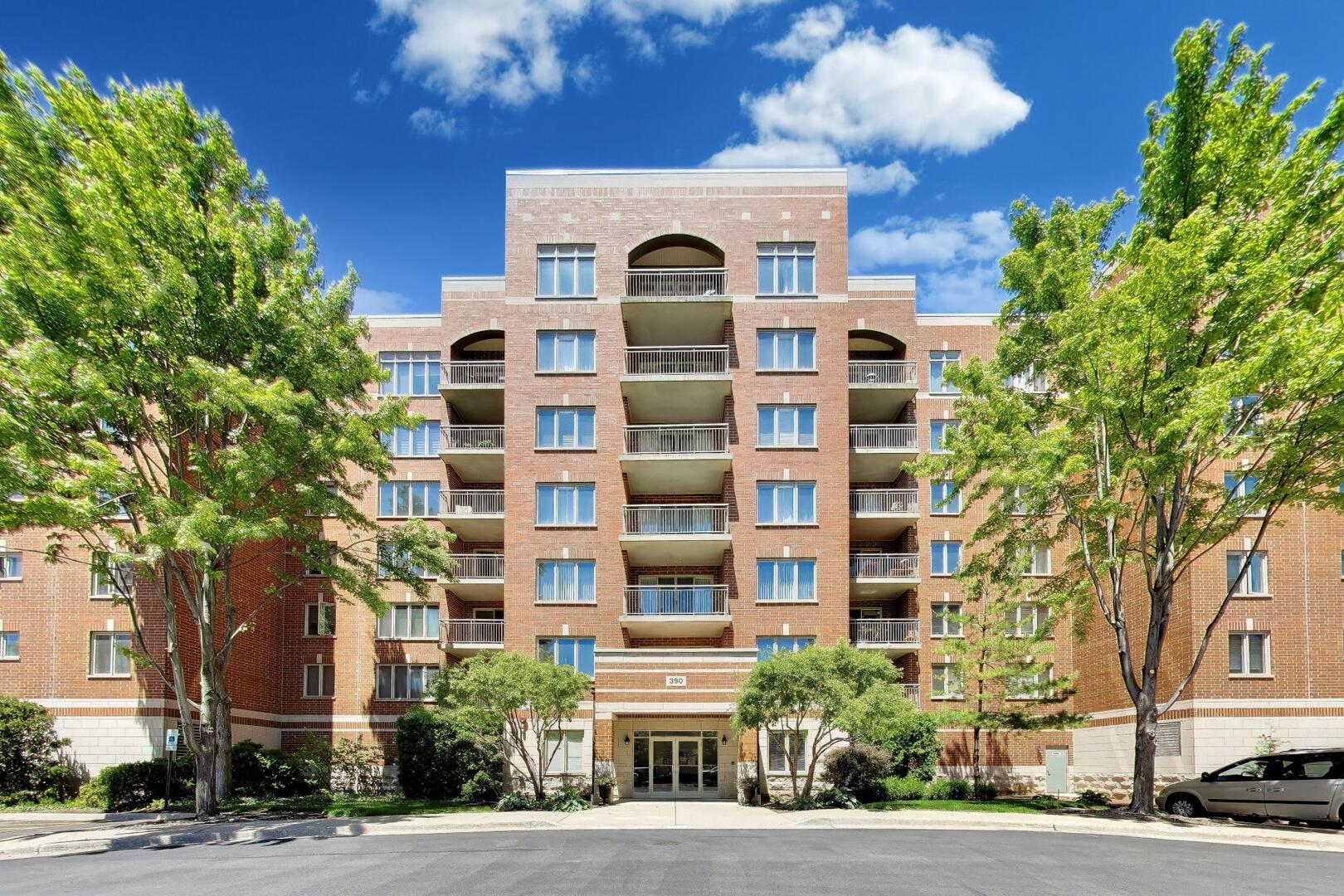 390 S Western Avenue #201, Des Plaines, IL 60016