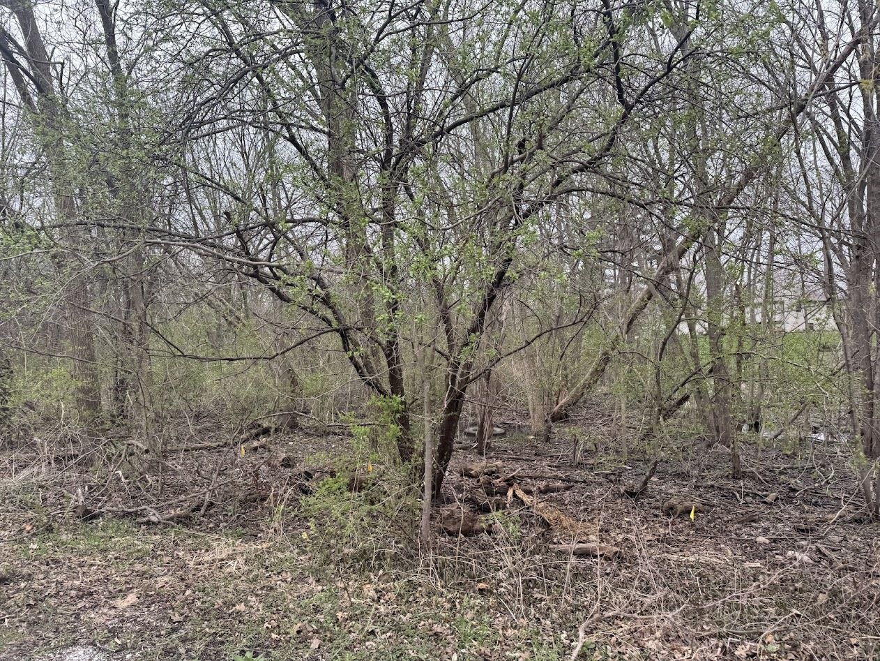 22828 Frederick Road, Steger, IL 60475