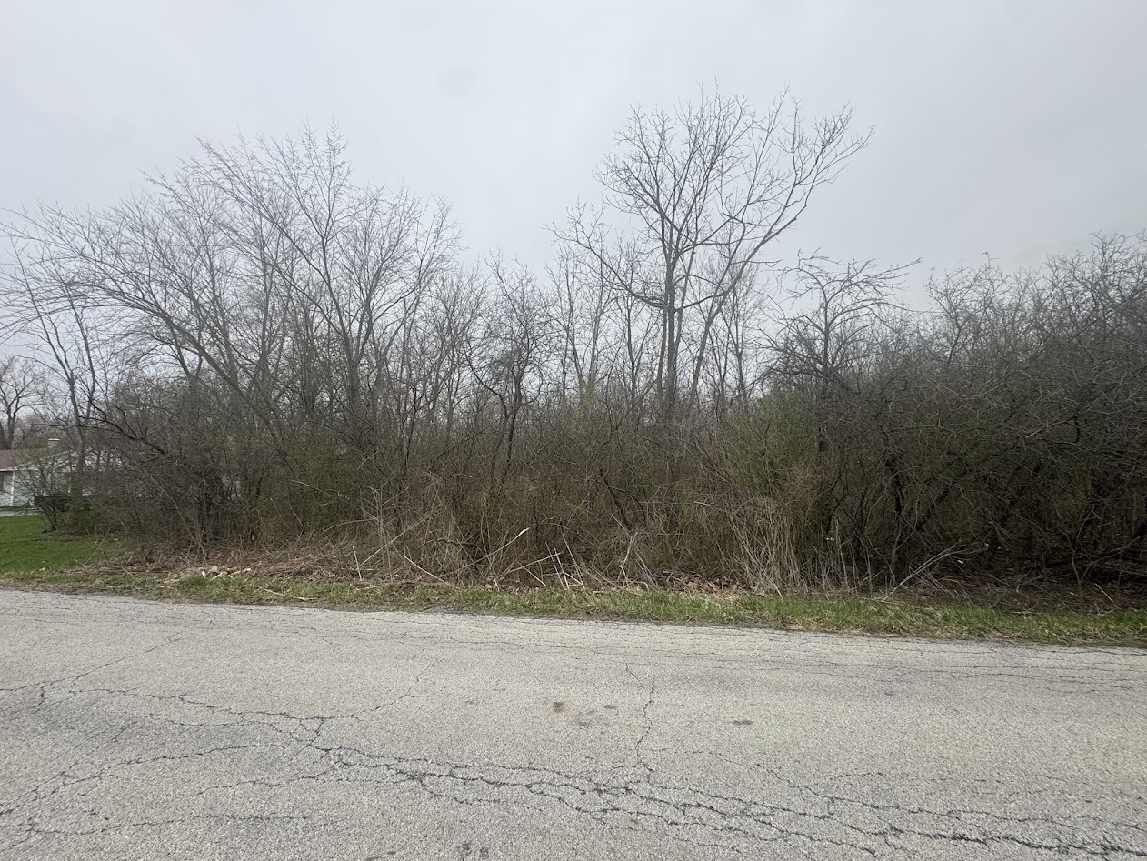 22828 Frederick Road, Steger, IL 60475