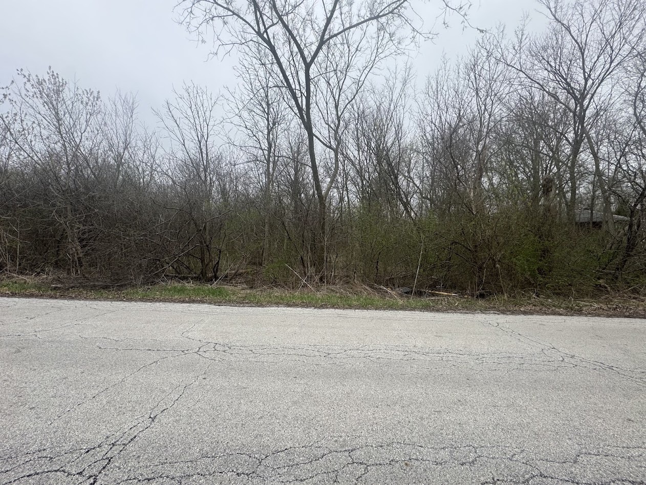 22828 Frederick Road, Steger, IL 60475