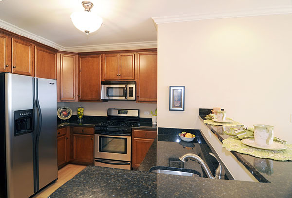 229 S Main Street #2E, Lombard, IL 60148