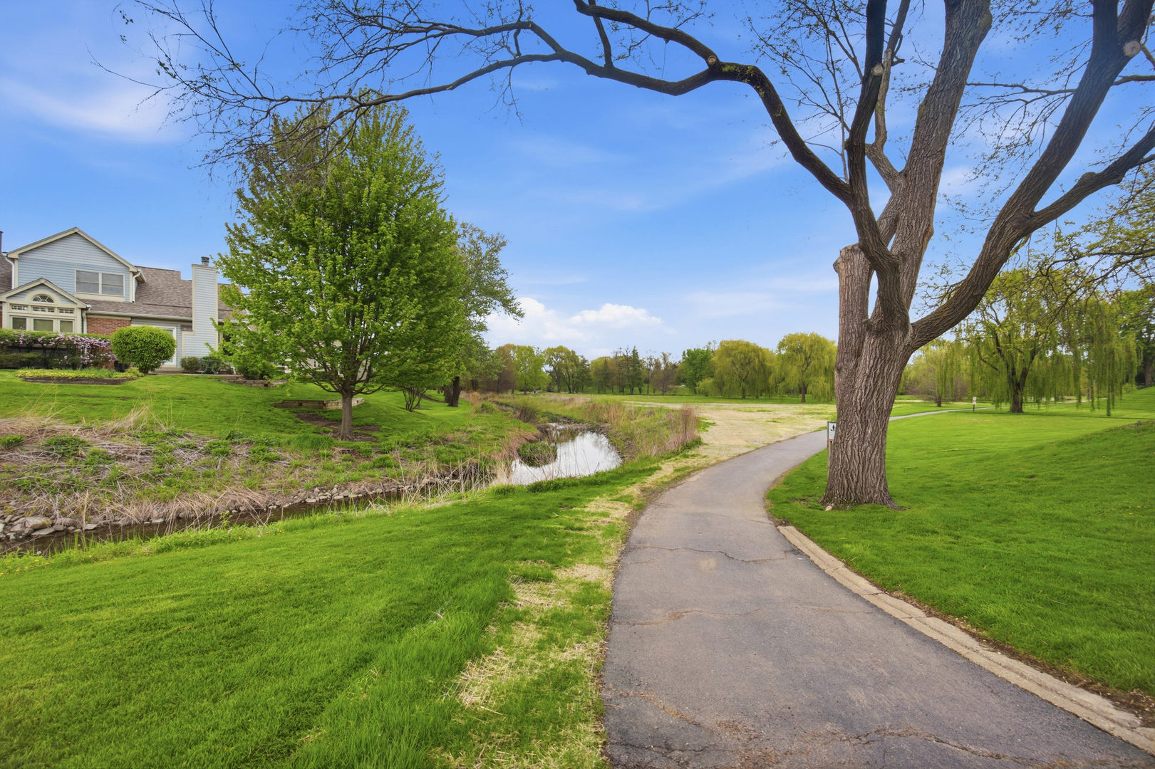 1514 Camden Court #A1, Wheeling, IL 60090
