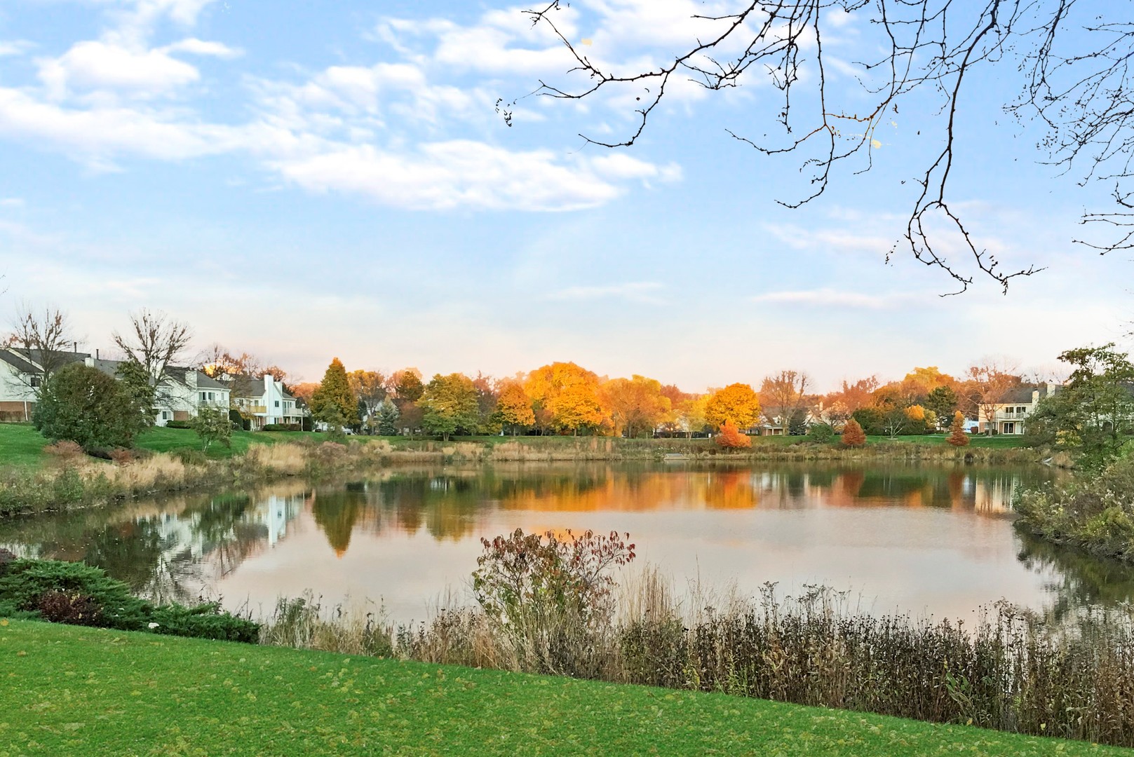 1514 Camden Court #A1, Wheeling, IL 60090