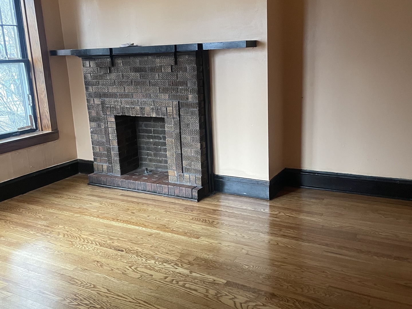 6523 S Evans Avenue, Chicago, IL 60637