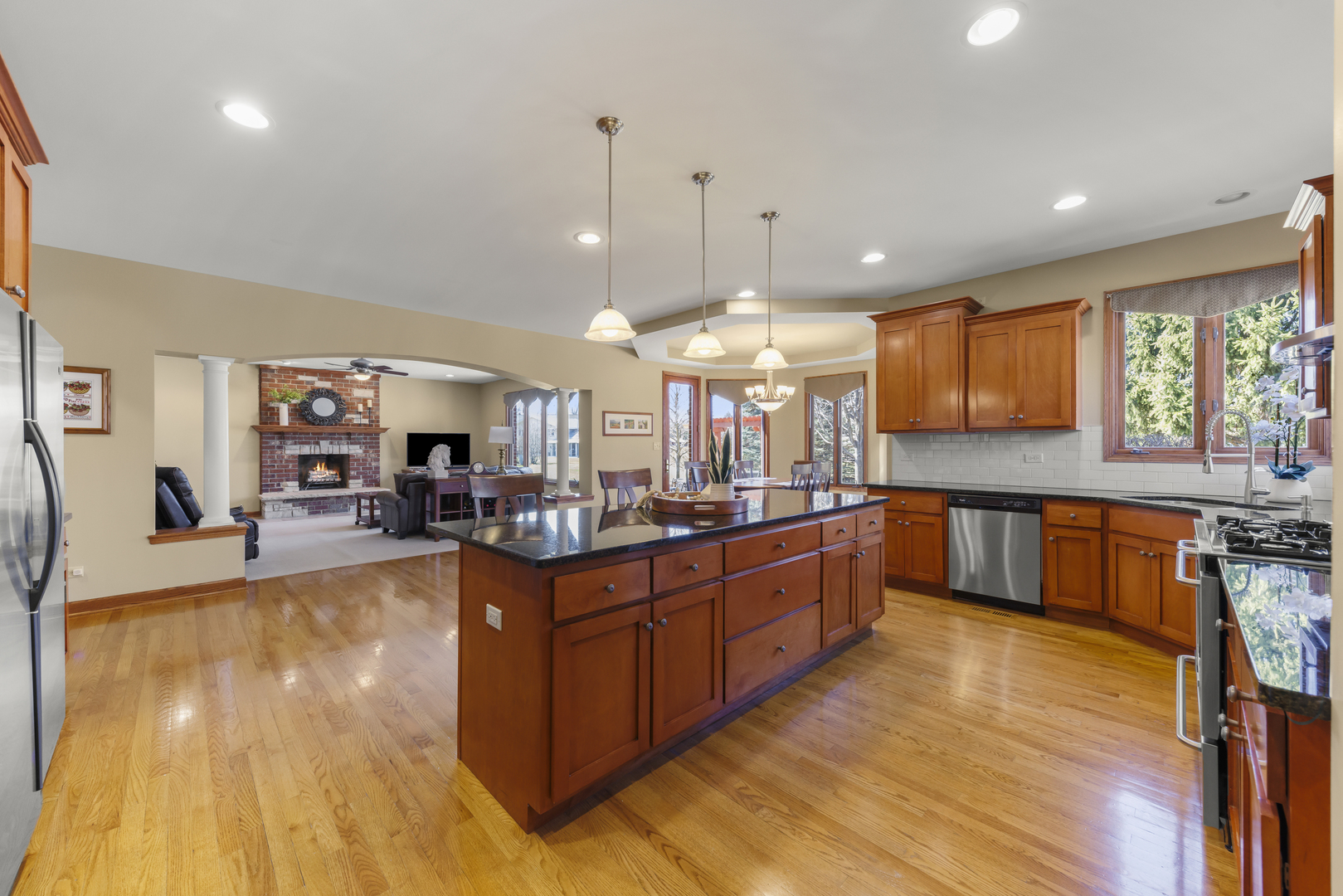 14220 S 88th Avenue, Orland Park, IL 60462