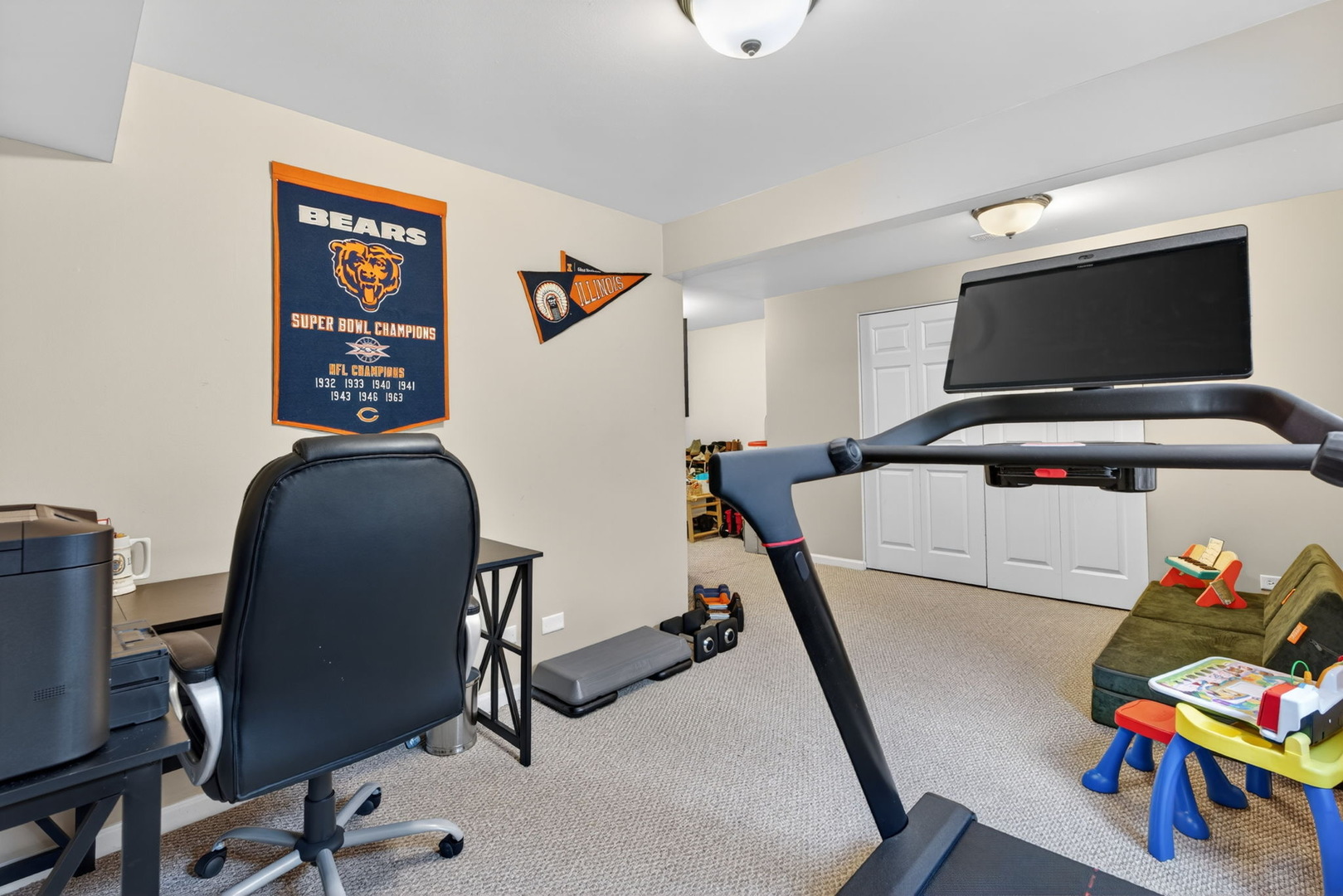 736 Briarcliff Drive, Minooka, IL 60447