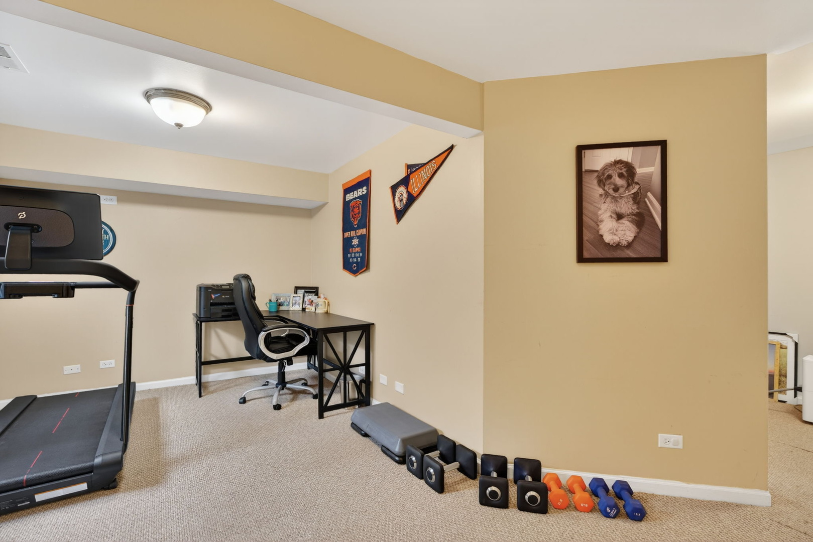 736 Briarcliff Drive, Minooka, IL 60447