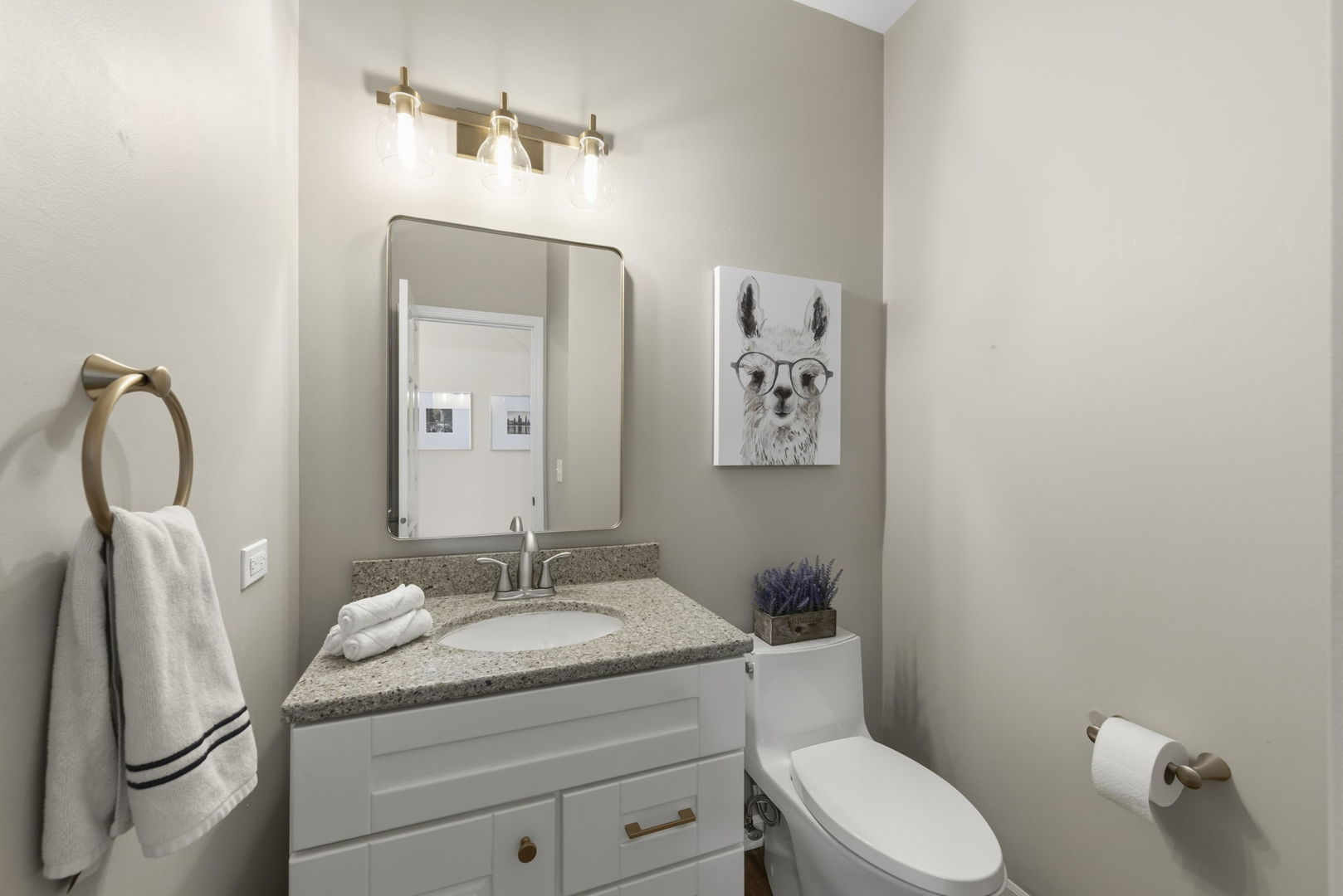 120 Rieser Circle, Naperville, IL 60565