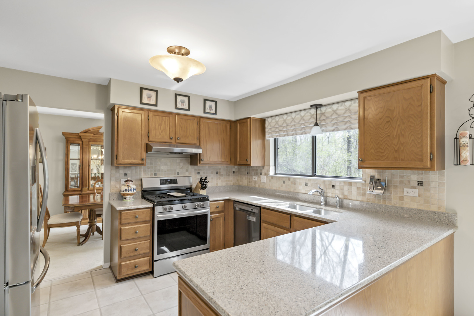 713 Hackberry Court, Bartlett, IL 60103