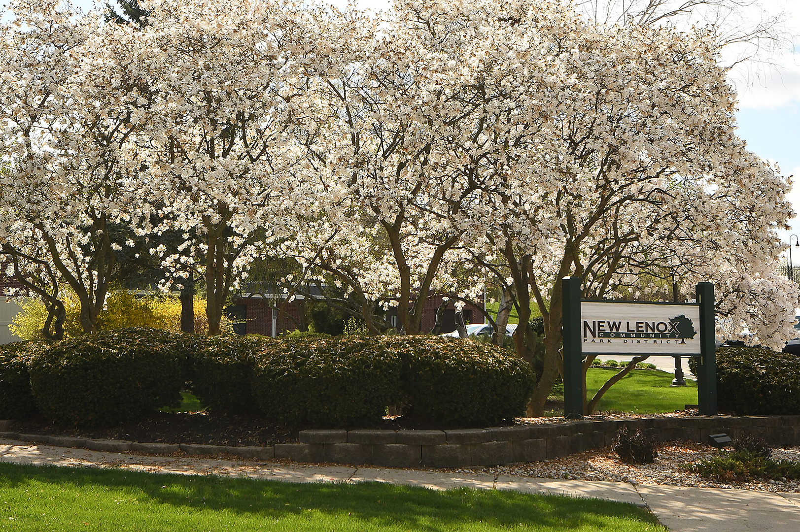 628 Prairie Crossing Drive, New Lenox, IL 60451