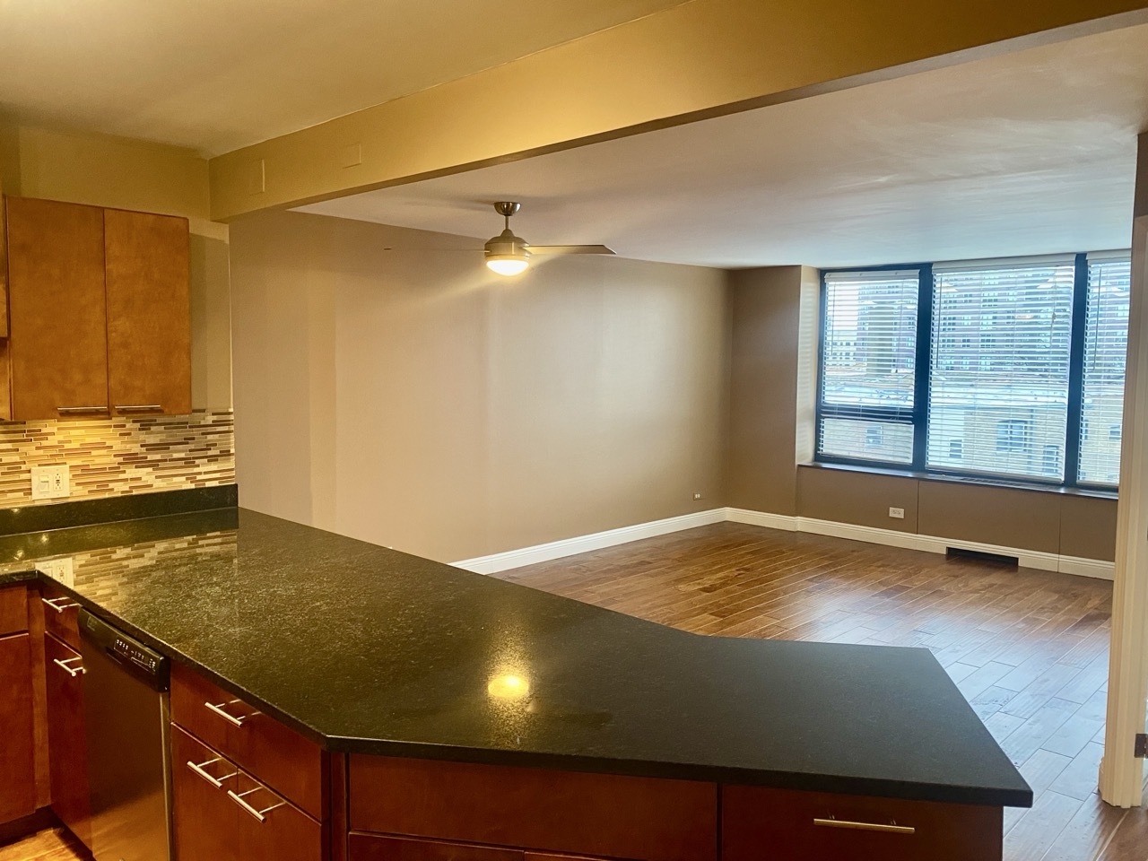 3930 N Pine Grove Avenue #514, Chicago, IL 60613