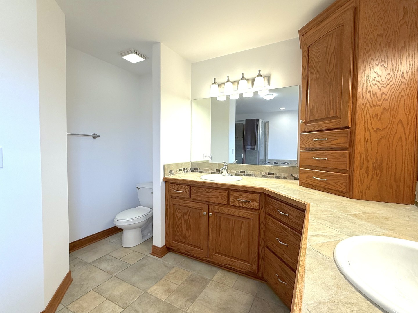 25202 S Doolittle Drive, Monee, IL 60449