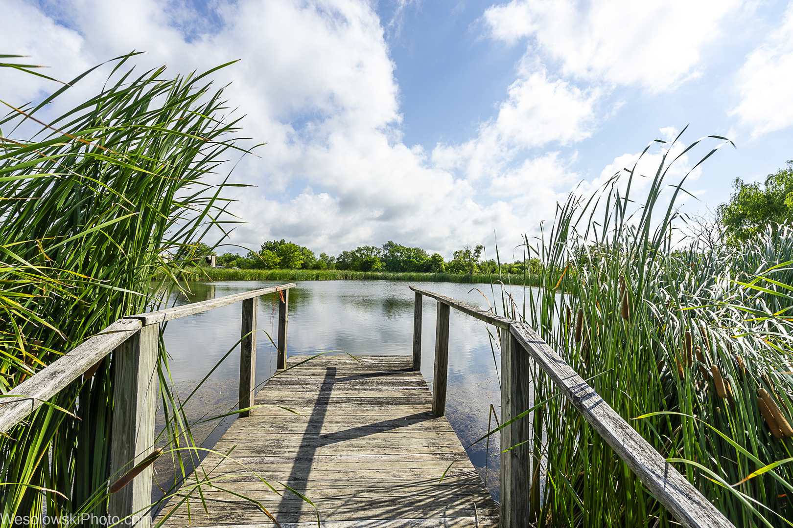 11475 E 3050 North Road, Blackstone, IL 61313