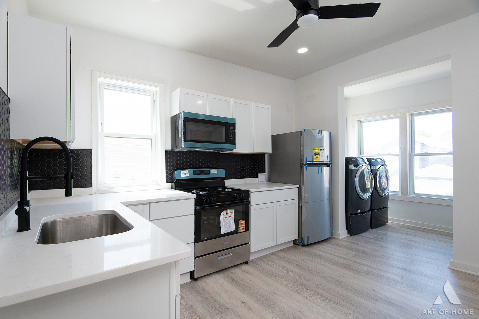 2110 N mango Avenue, Chicago, IL 60639