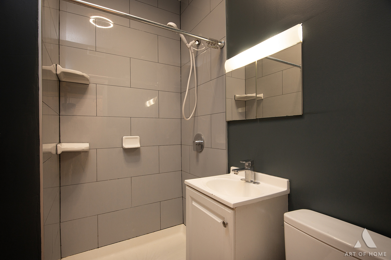 2110 N mango Avenue, Chicago, IL 60639