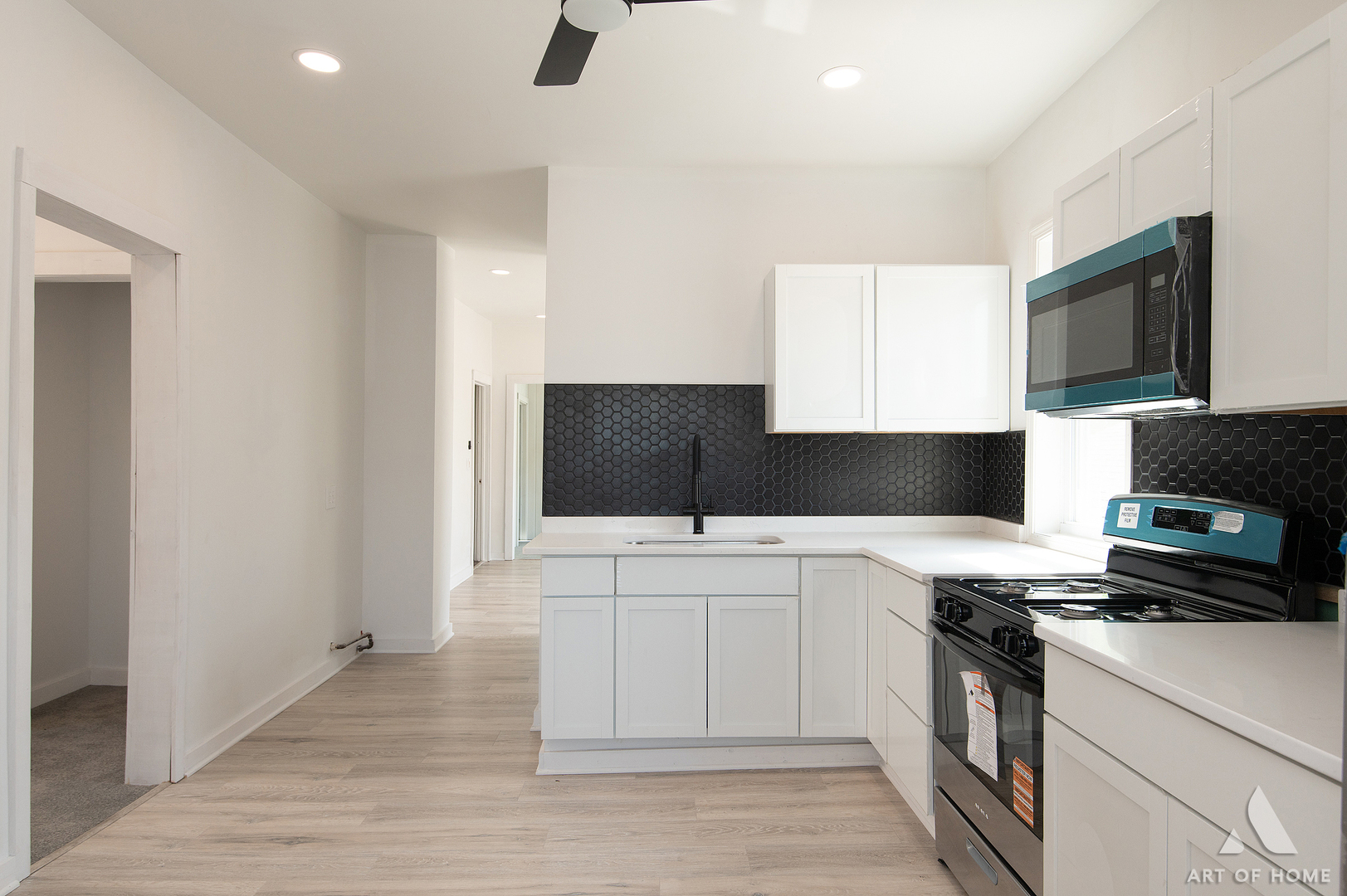 2110 N mango Avenue, Chicago, IL 60639