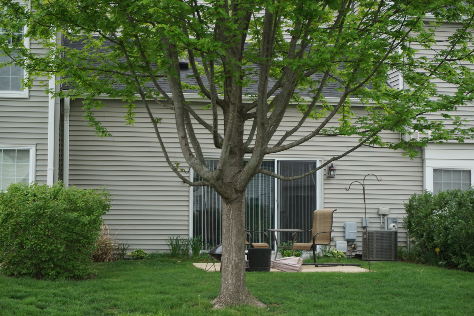 74 Marion Lane #74, Streamwood, IL 60107