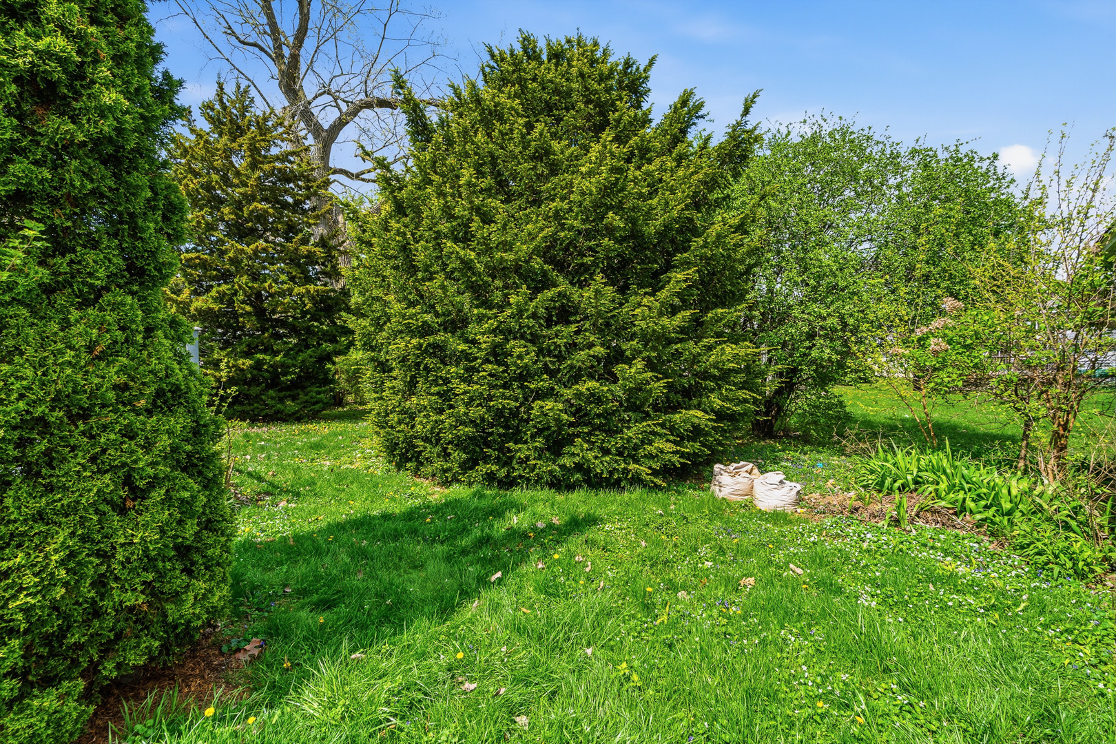 1730 S Jefferson Street, Lockport, IL 60441