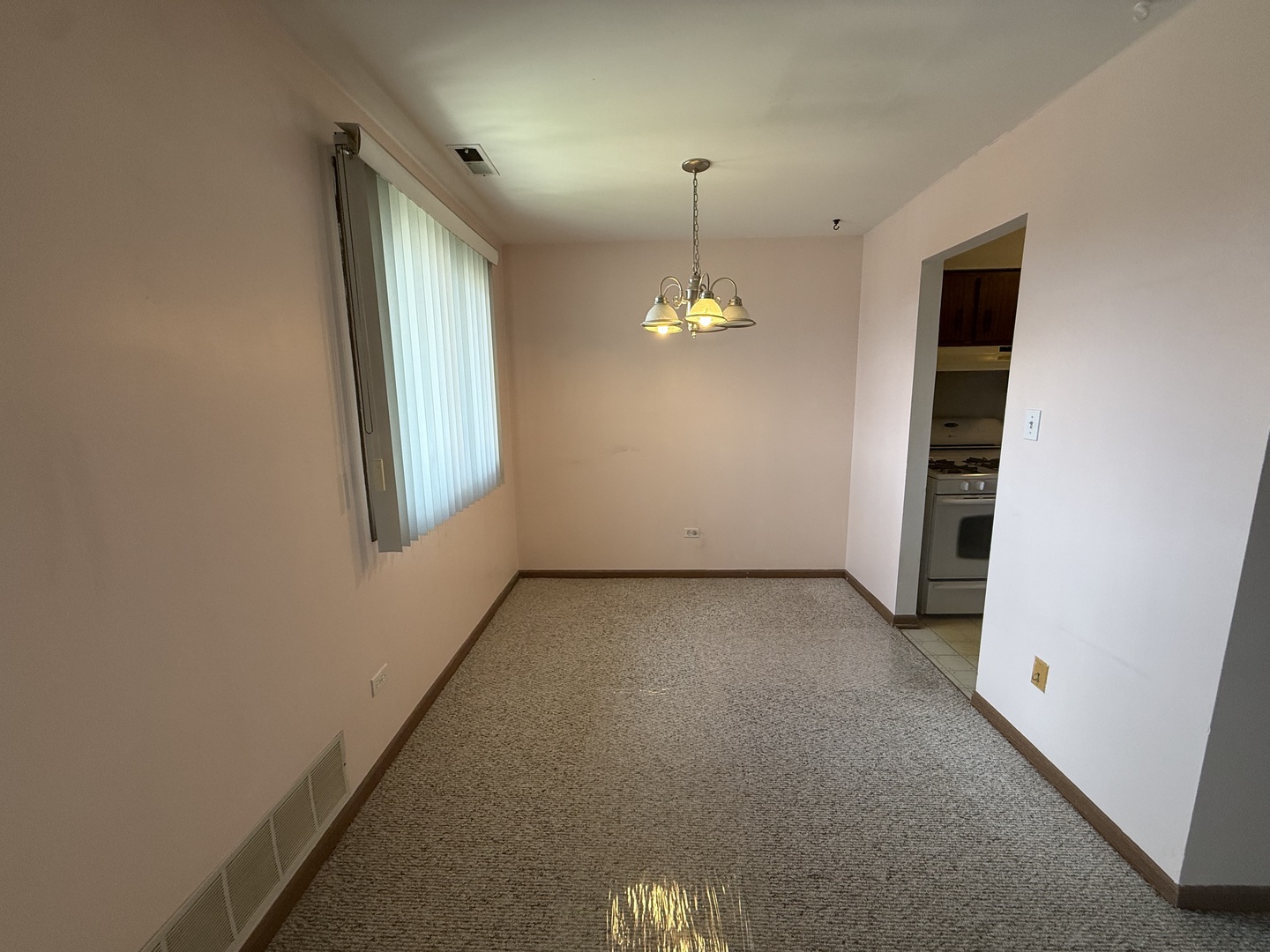 15723 Peggy Lane #11, Oak Forest, IL 60452