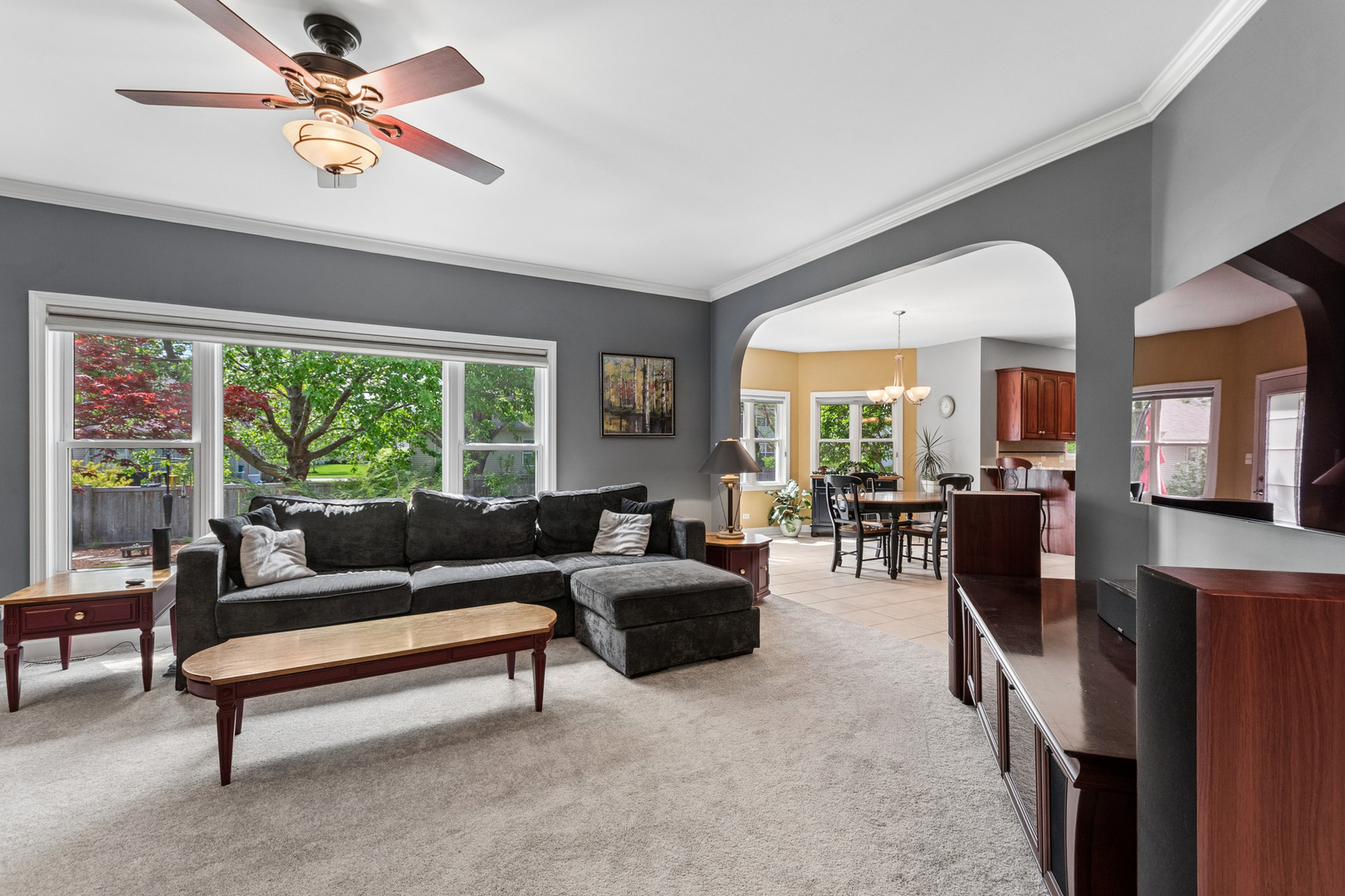 13152 S Vicarage Drive, Plainfield, IL 60585
