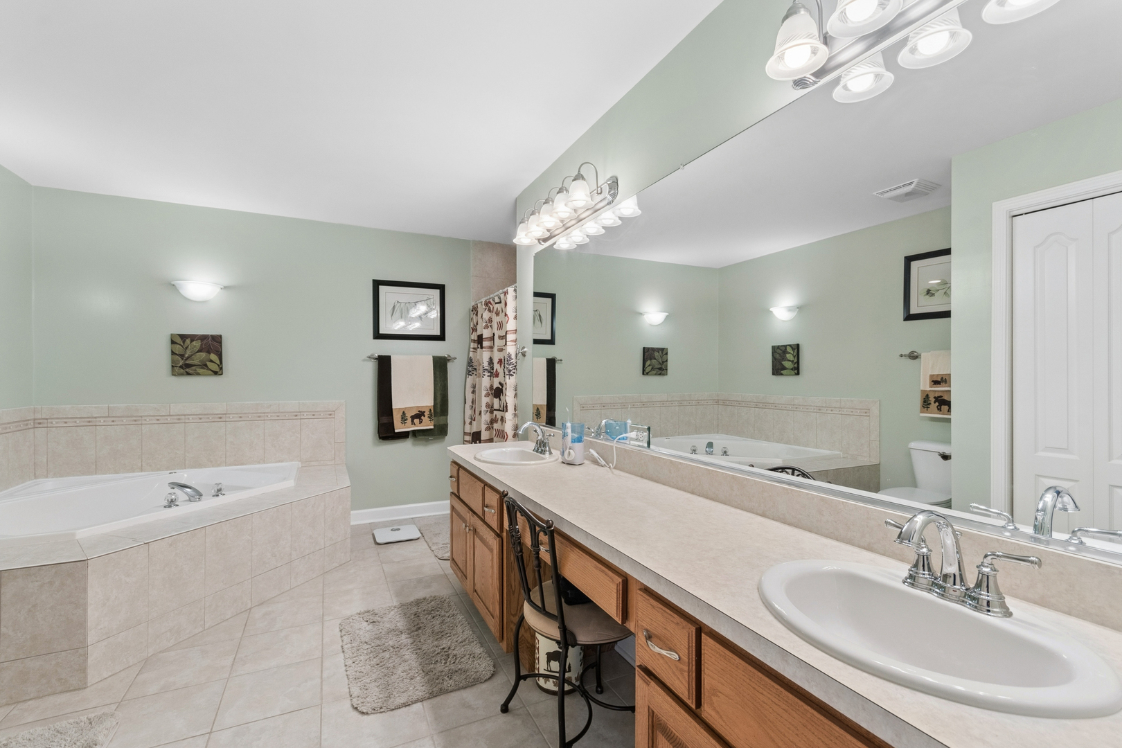 13152 S Vicarage Drive, Plainfield, IL 60585
