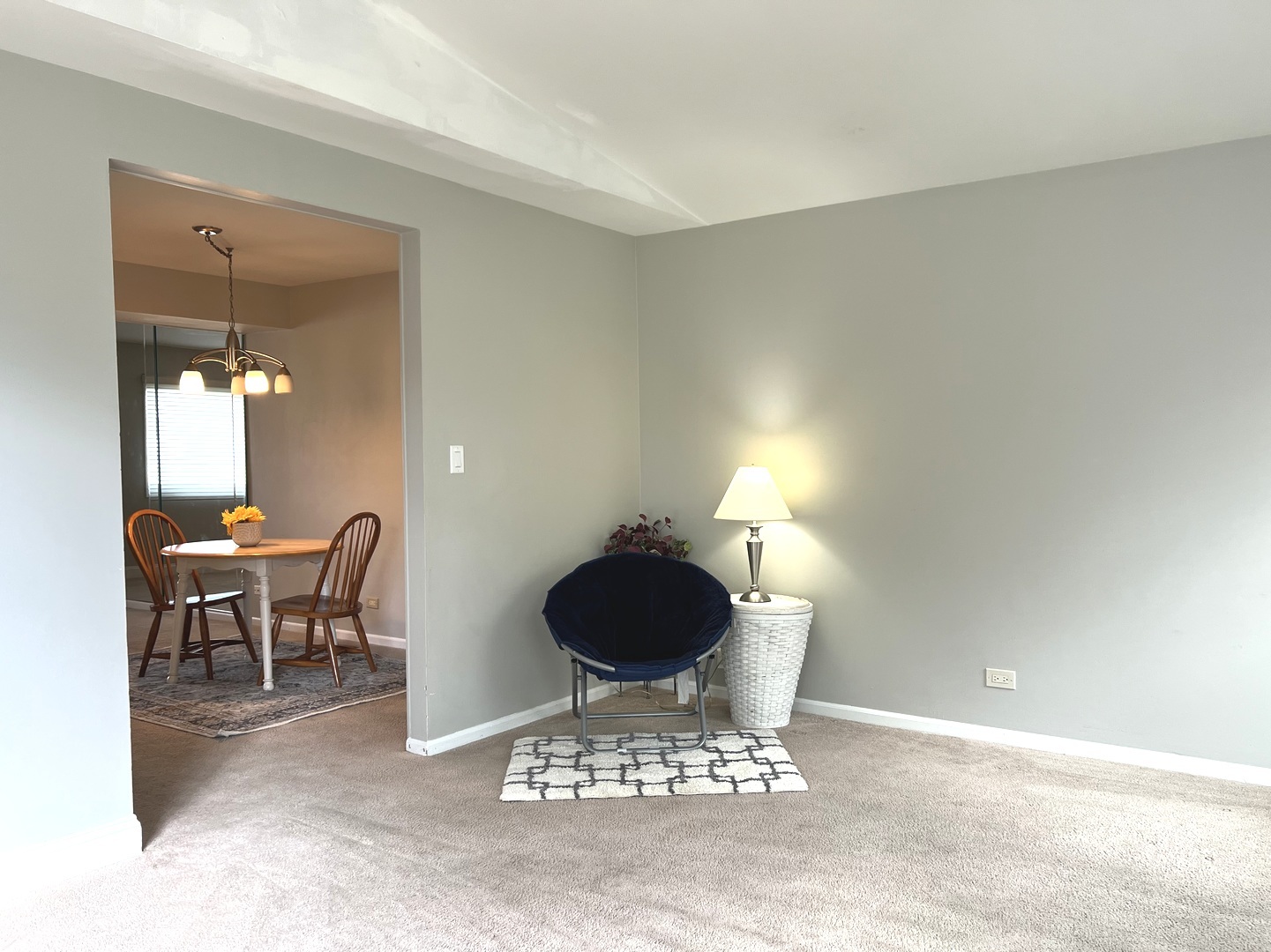 1669 Cape Breton Court, Hoffman Estates, IL 60192