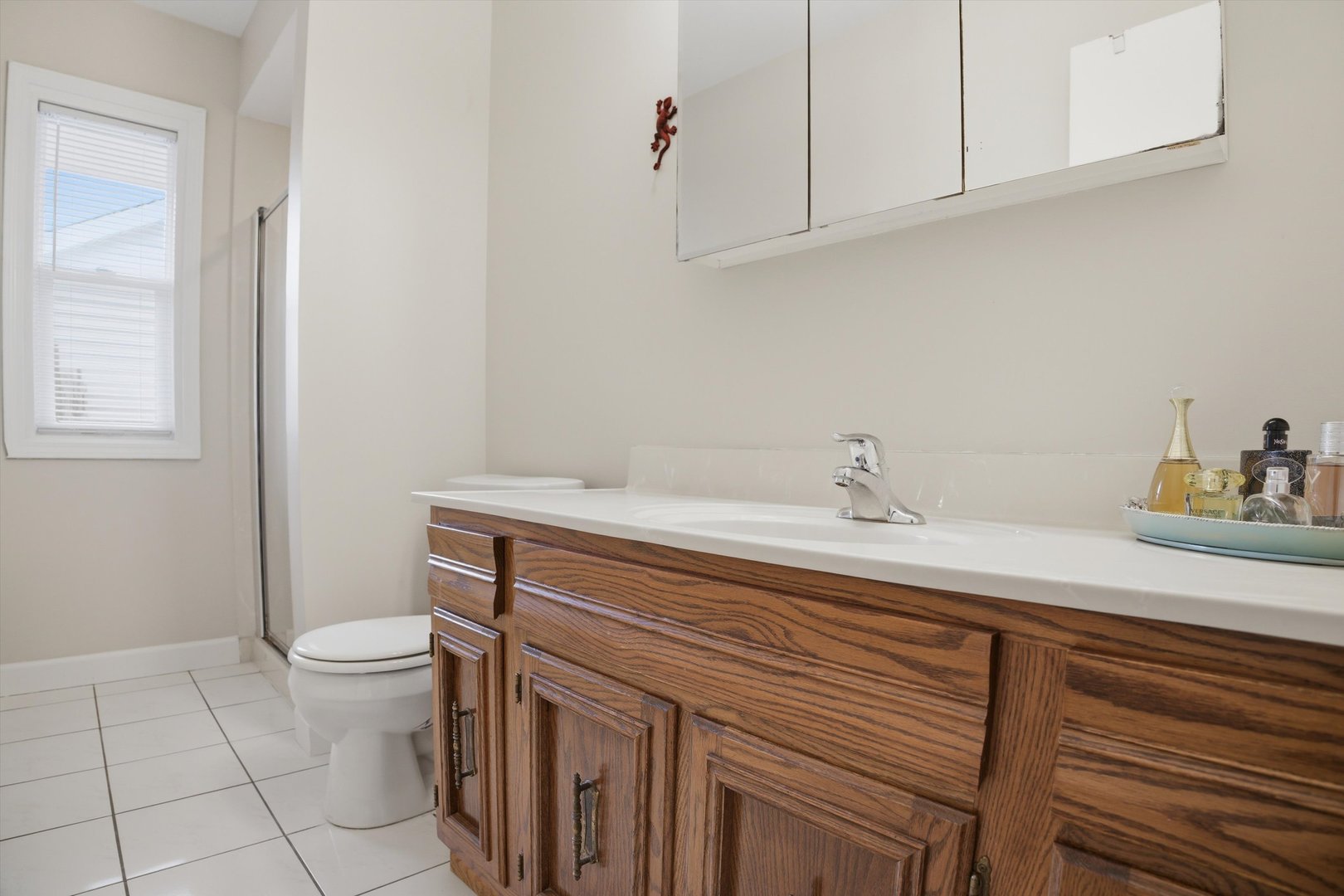 25 Devonshire Circle, Elgin, IL 60123