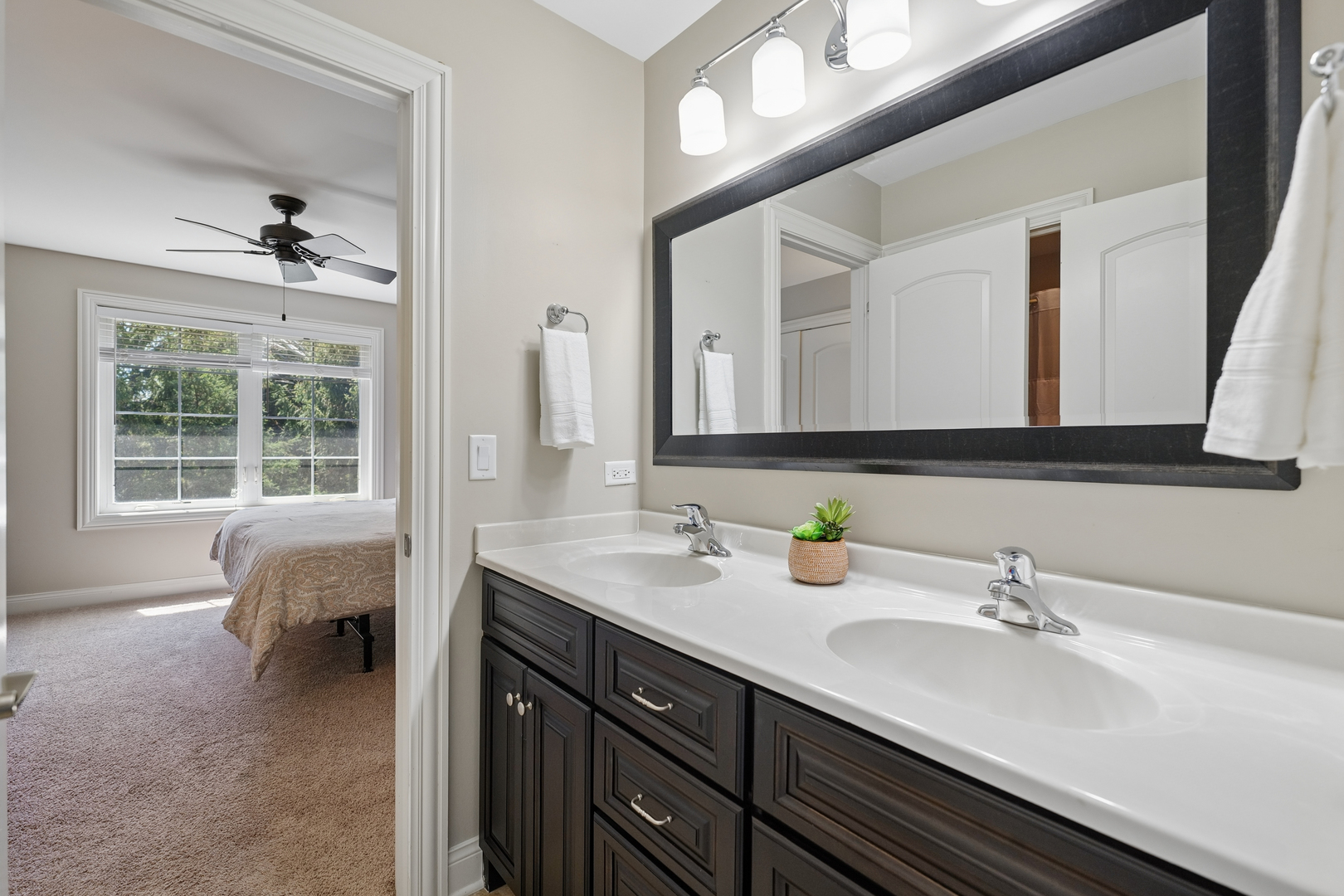 26009 W Stewart Ridge Drive, Plainfield, IL 60585