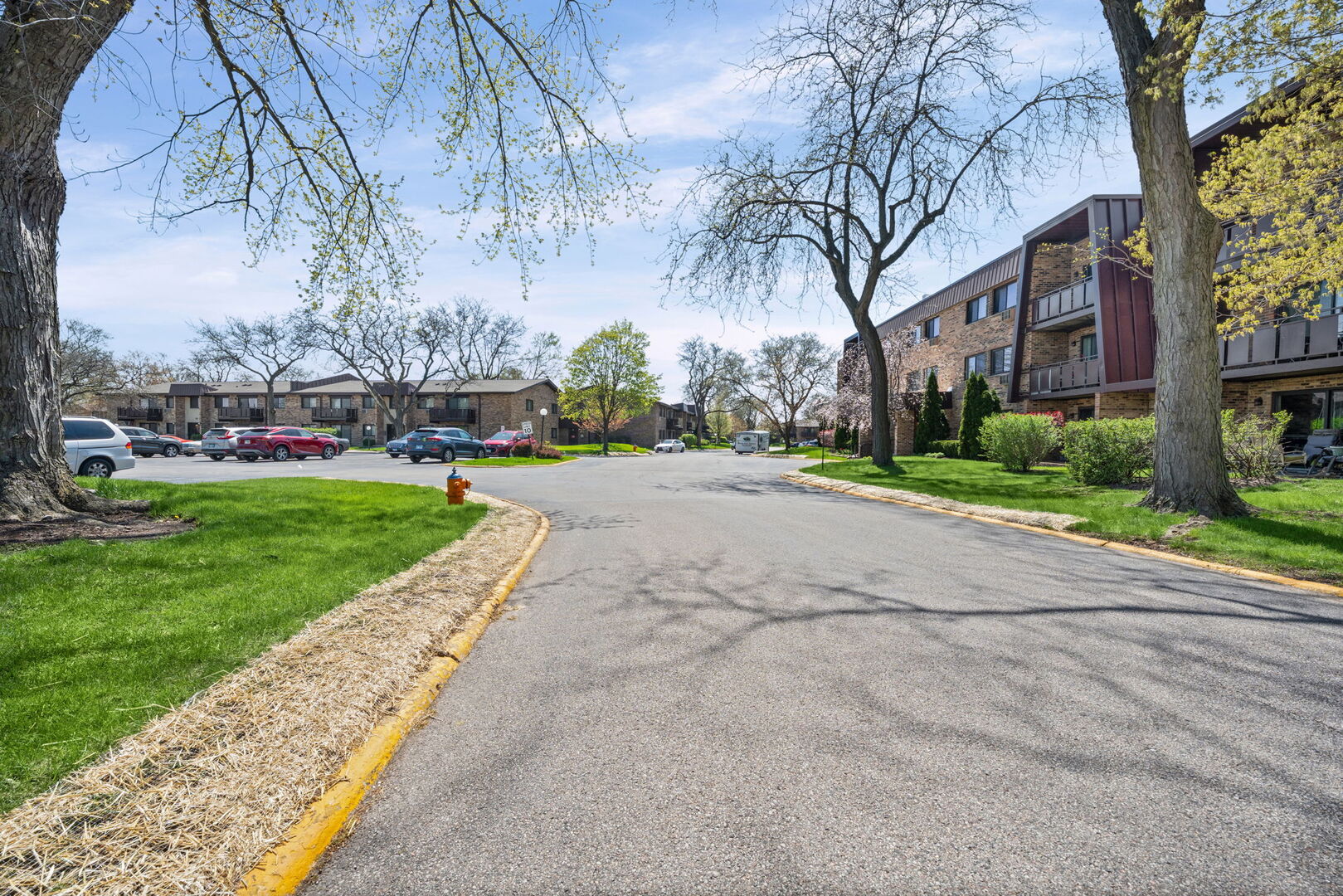 1205 E Hintz Road #209, Arlington Heights, IL 60004