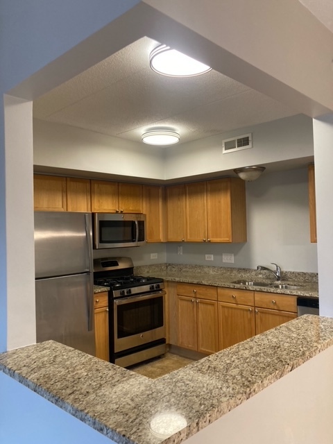 655 Perrie Drive #305, Elk Grove Village, IL 60007