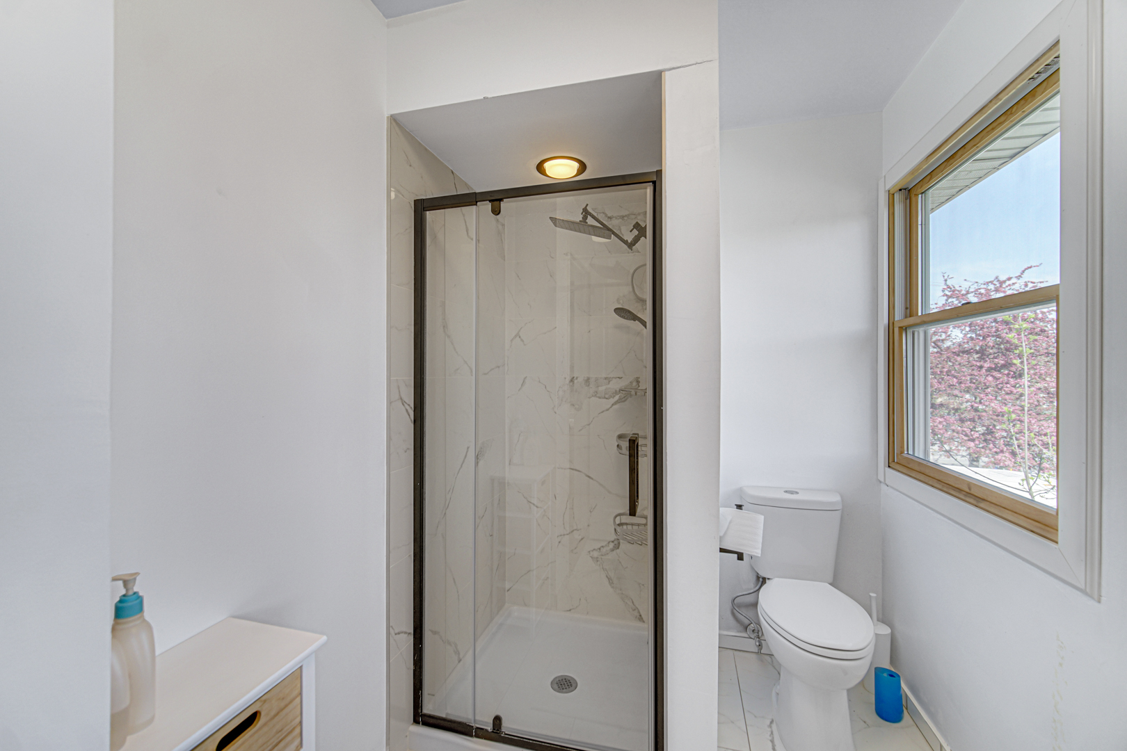 1623 W Bray Court, Arlington Heights, IL 60005