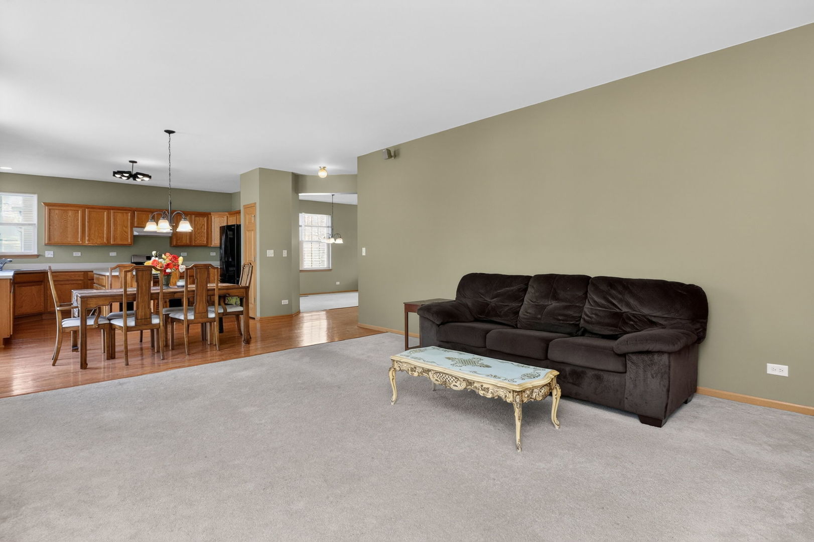 259 Pleasant Plains Drive, St. Charles, IL 60175