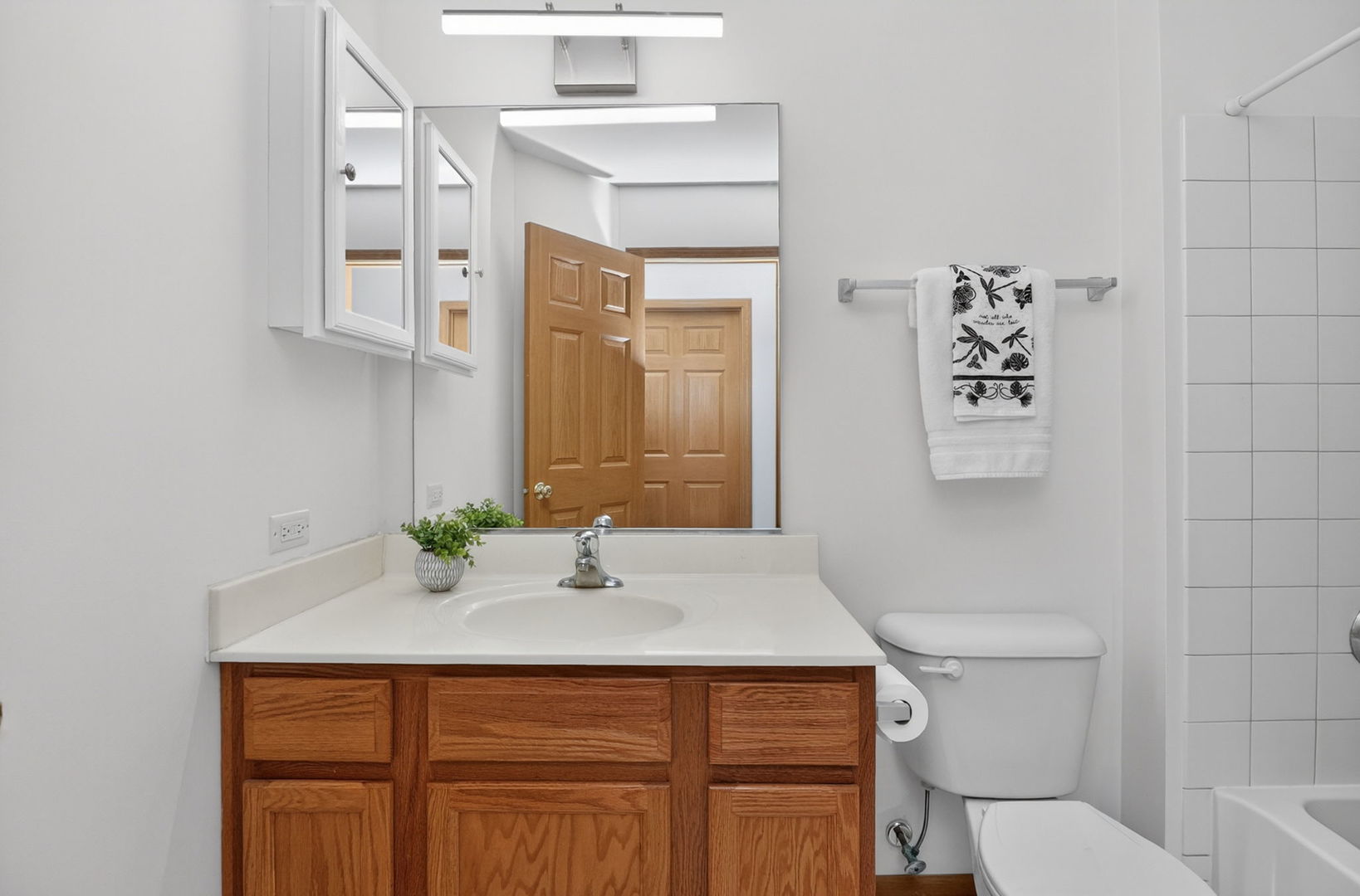 259 Pleasant Plains Drive, St. Charles, IL 60175